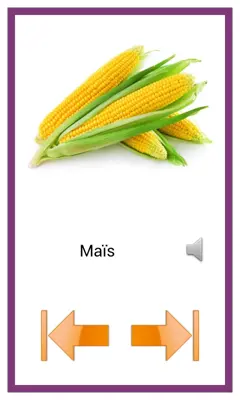 Learn French android App screenshot 3